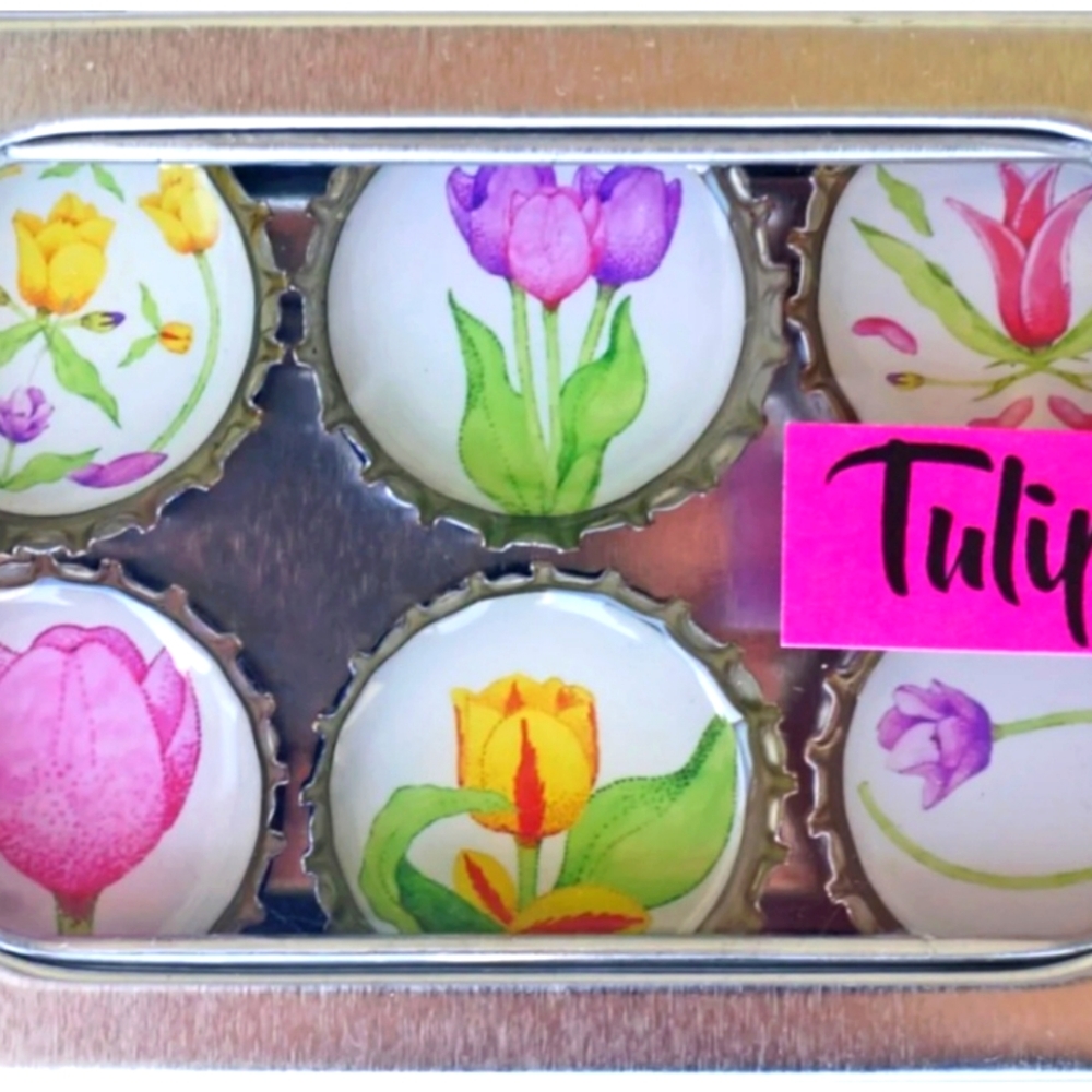 Tulip Magnet Set